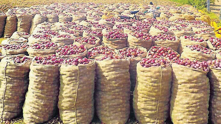 <div class="paragraphs"><p>Representative image showing onions</p></div>