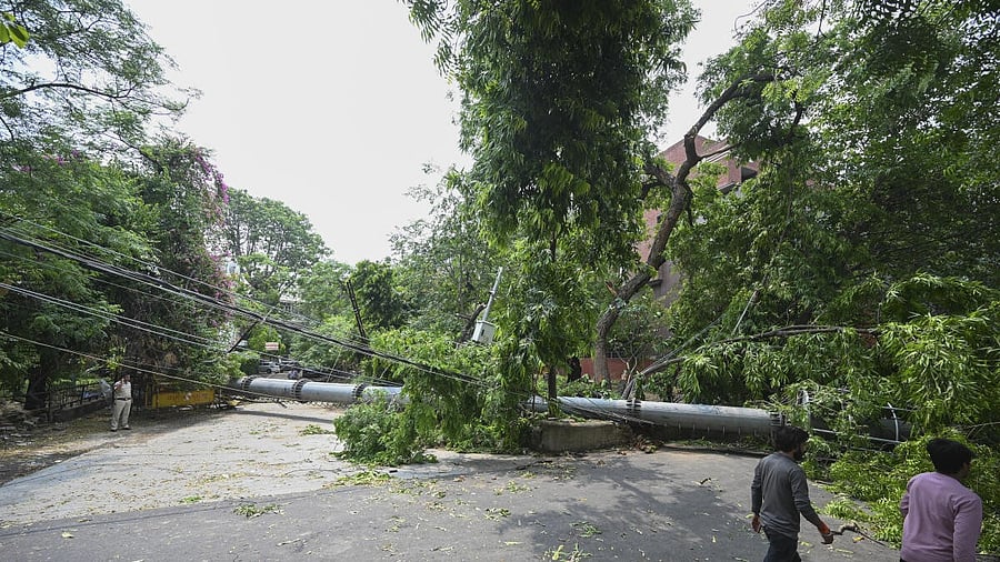 <div class="paragraphs"><p>People walk past a 100-feet tall mobile tower that collapsed due to strong winds and rain, at Safdarjung Enclave, in New Delhi</p></div>