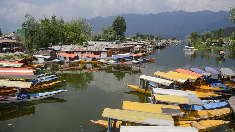 <div class="paragraphs"><p> Shikaras anchored in the Dal Lake, amid a decrease in number of tourists following the Pahalgam terror attack.&nbsp;</p><p>Photo for representational purpose.&nbsp;</p></div>