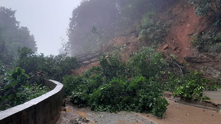 <div class="paragraphs"><p>A landslide brings heaps of mud, boulders and trees on the newly laid Sirsi-Kumta national highway at Devimane Ghat in Kumta taluk on Saturday night.</p></div>