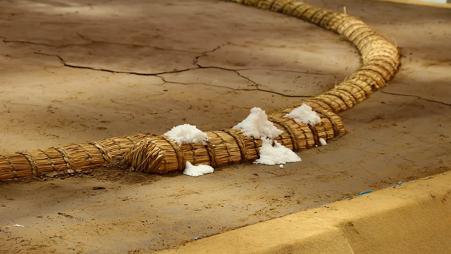 <div class="paragraphs"><p>A sumo wrestling ring</p></div>