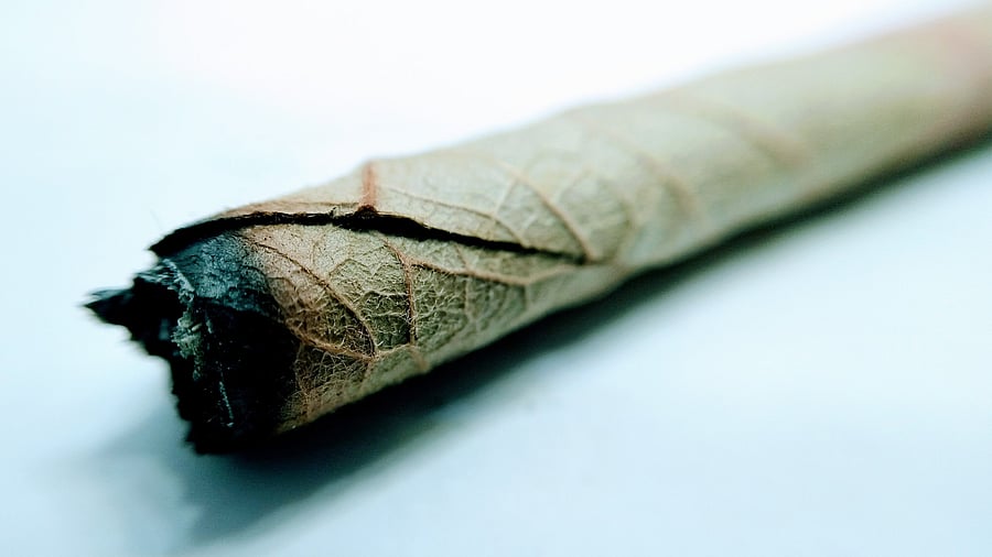 <div class="paragraphs"><p>Representative image of a used beedi.</p></div>