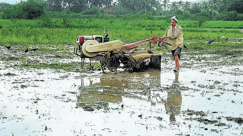 <div class="paragraphs"><p>Pre-monsoon showers have been more than average and sowing operations too have exceeded the target in some districts in the State. </p></div>