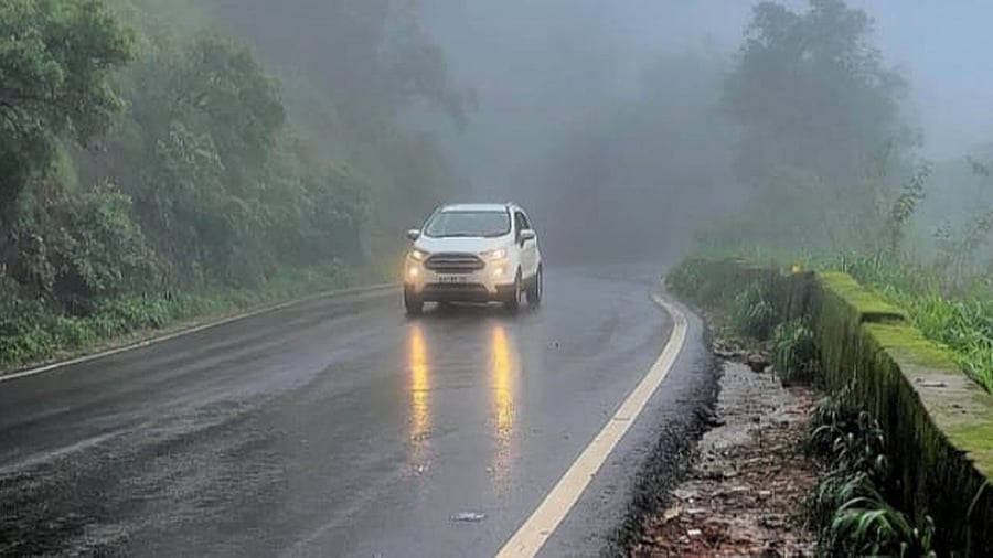 <div class="paragraphs"><p>Representative image. </p></div>