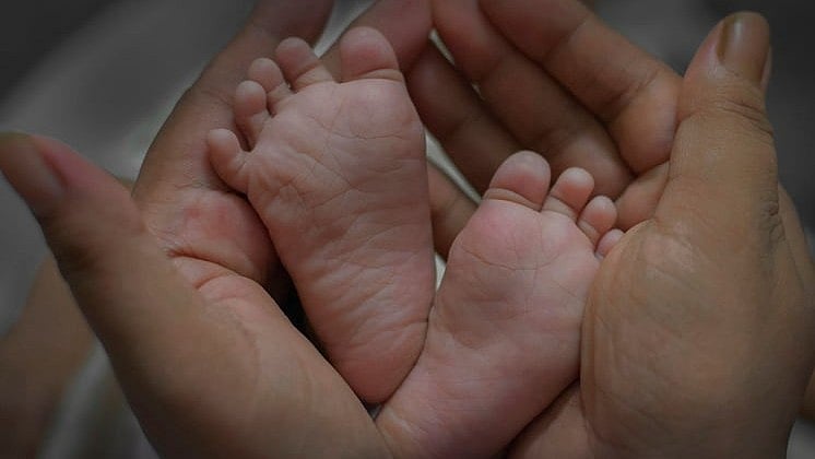 <div class="paragraphs"><p>Representative image for a baby's feet.</p></div>