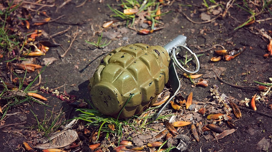 <div class="paragraphs"><p>Image showing a hand grenade. For representational purposes.</p></div>