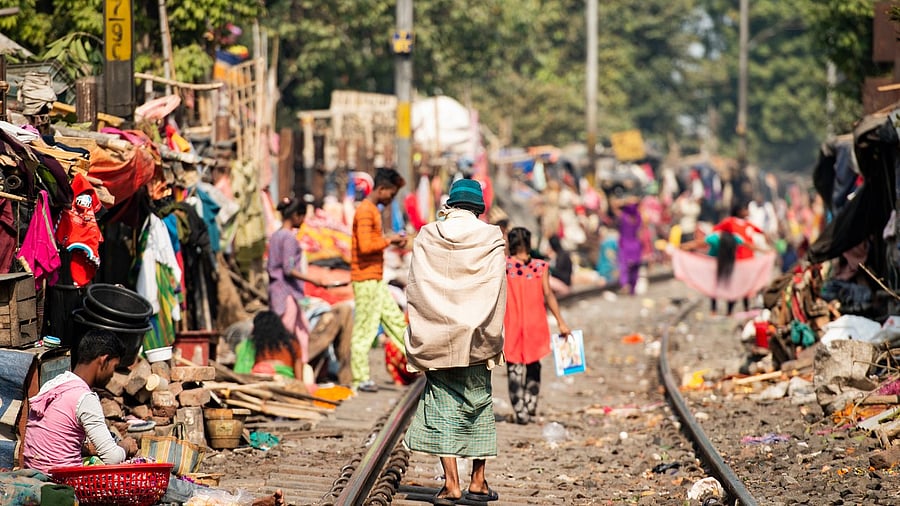 <div class="paragraphs"><p>Image for representation.</p></div>