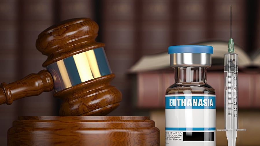 <div class="paragraphs"><p>The legal status of assisted dying in different countries</p><p></p></div>