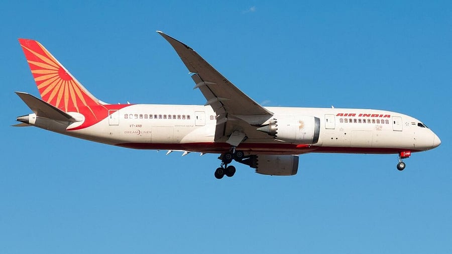 <div class="paragraphs"><p>Image showing an Air India flight.</p></div>