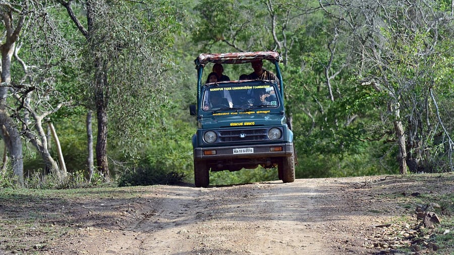 <div class="paragraphs"><p>New timings are applicable only to the government-operated buses and jeeps in the forests. </p></div>