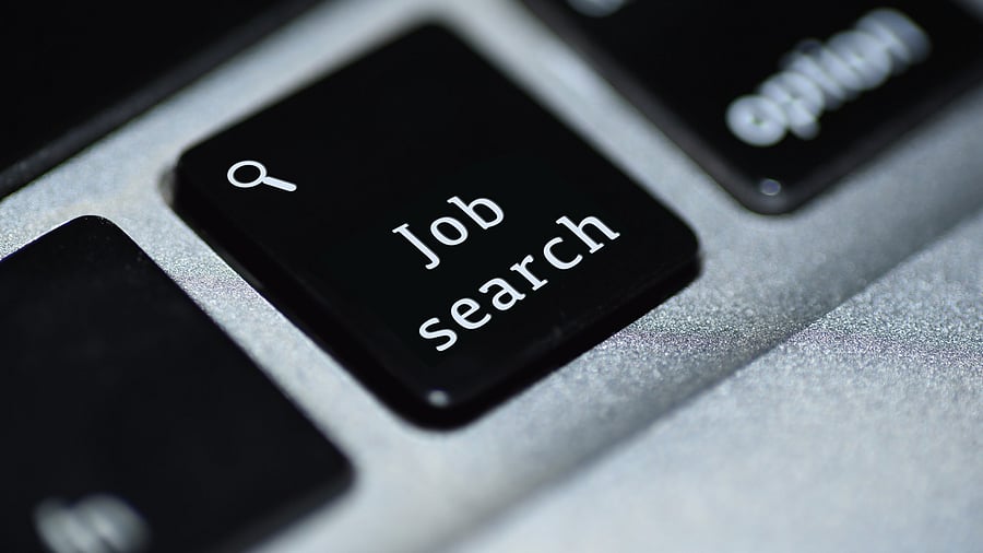 <div class="paragraphs"><p>Image for representation.</p></div>