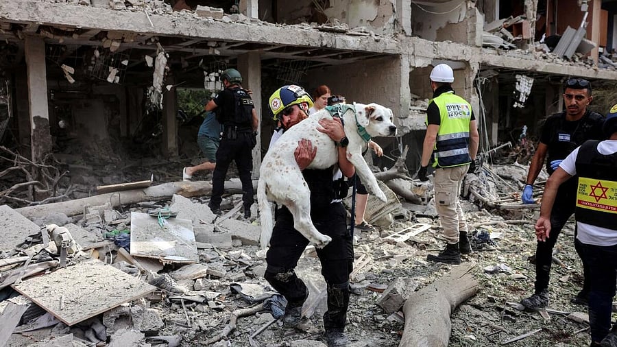 <div class="paragraphs"><p>A rescuer evacuates a dog from an impacted site after a missile attack from Iran, amid the Iran-Israel conflict in Tel Aviv, Israel June 22, 2025.</p></div>
