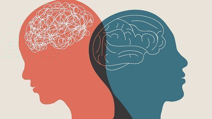 <div class="paragraphs"><p>Image for representation.</p></div>