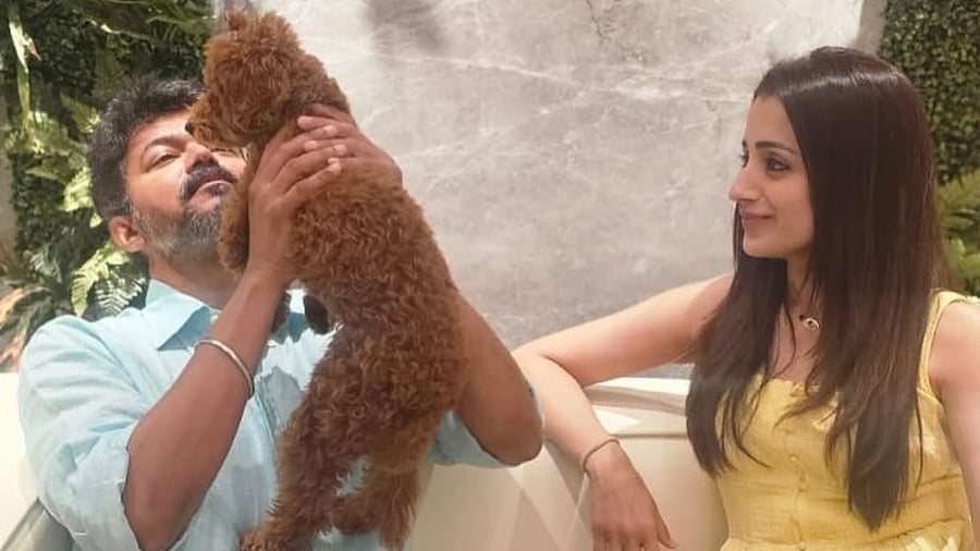 <div class="paragraphs"><p>Vijay and Trisha.</p></div>