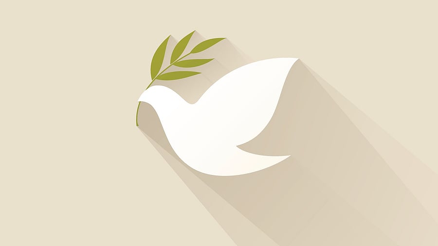 <div class="paragraphs"><p>Representative image indicating peace</p></div>