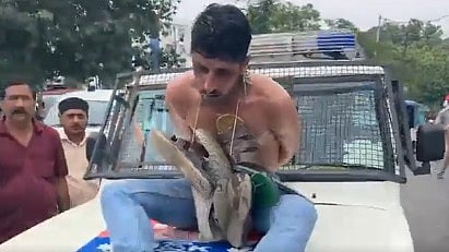 <div class="paragraphs"><p>The footage, which surfaced on social media, drew sharp criticism from rights activists and citizens alike, even as some onlookers in the video were seen cheering the act.</p></div>