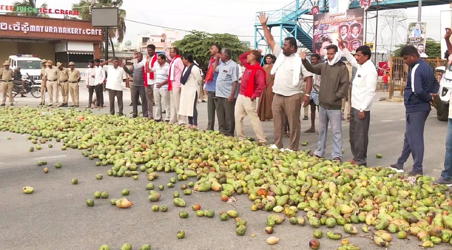 <div class="paragraphs"><p>Mango growers stage a protest by dumping mangoes on the national highway&nbsp;in Kolar on Tuesday, demanding a support price. </p></div>