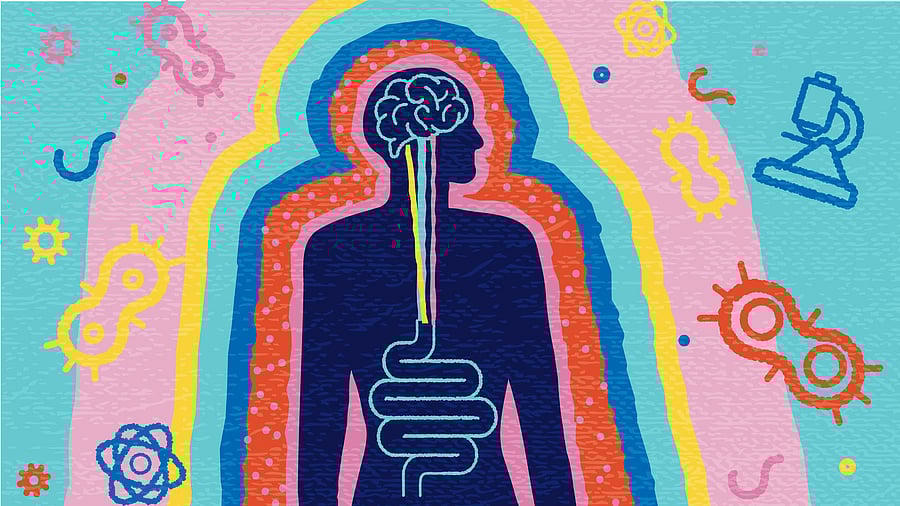 <div class="paragraphs"><p>Representative image indicating the human anatomy</p></div>
