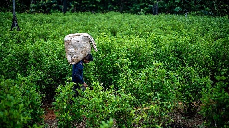 <div class="paragraphs"><p>Image for representational purposes.</p></div>