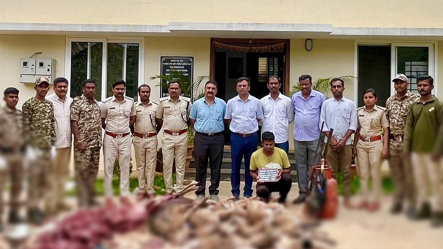 <div class="paragraphs"><p>Image showing forest dept officials with the seized carcasses.</p></div>
