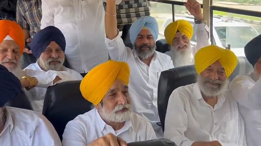 <div class="paragraphs"><p>Video screengrab</p></div>