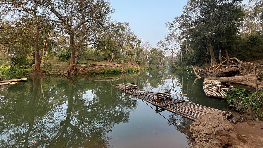 <div class="paragraphs"><p>Bamboo rafts at Kanger Valley. </p></div>