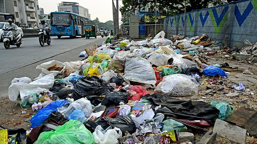 <div class="paragraphs"><p>The BBMP will strictly monitor and enforce penalties on individuals who dump waste by the roadside. </p></div>