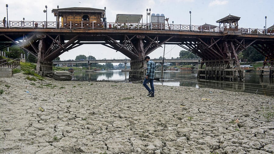 <div class="paragraphs"><p>A person walks through a dried-up portion of the Jhelum River, caused by prolonged dry weather and heatwave, in Srinagar</p></div>