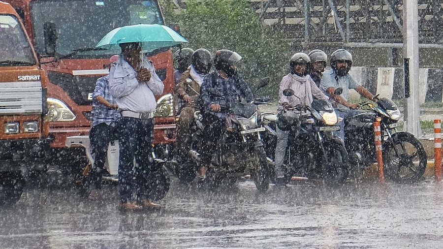 <div class="paragraphs"><p>A traffic police personnel regulates vehicular movement on a road amid rain.</p></div>