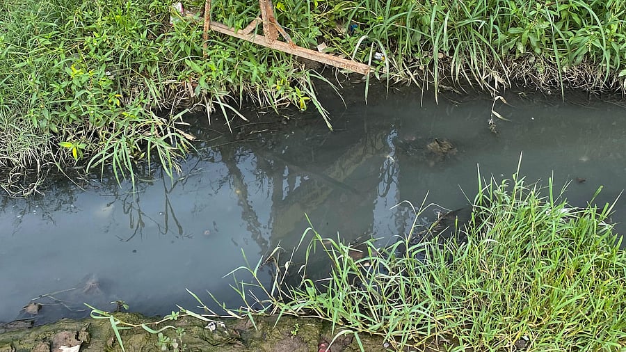 <div class="paragraphs"><p>A drain. Image for representation.</p></div>