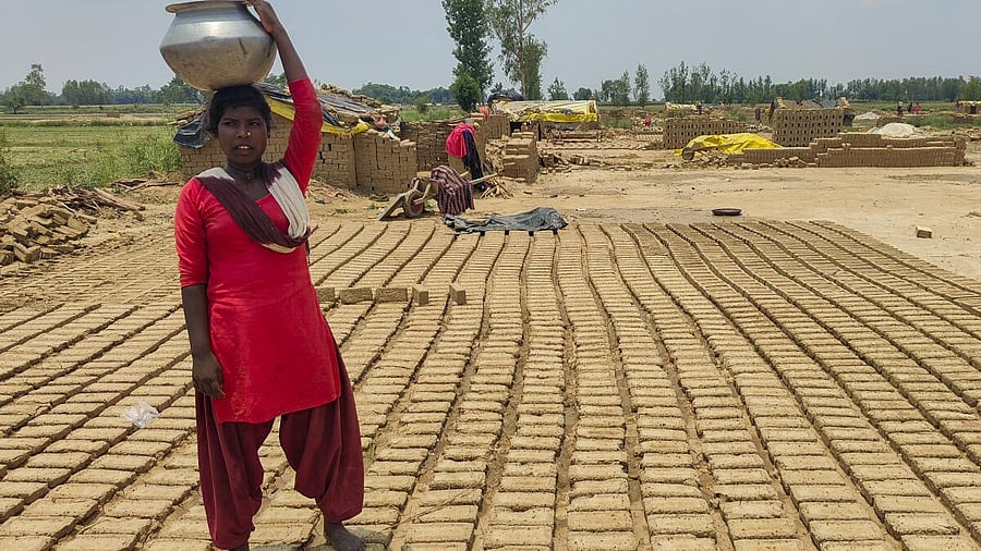 <div class="paragraphs"><p>A migrant worker stands over stacks of bricks ruined by rain at a brick kiln, in Aligarh district, Uttar Pradesh.</p></div>