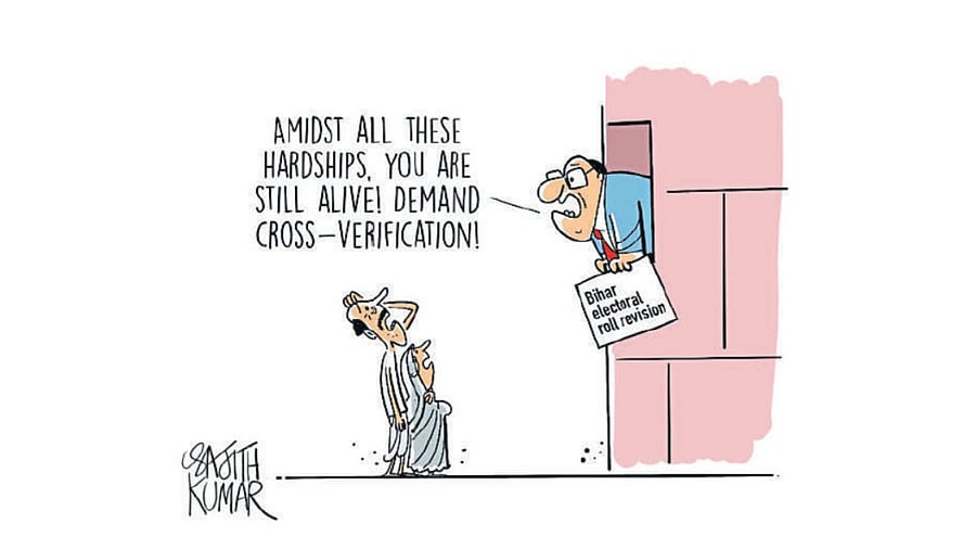 <div class="paragraphs"><p>DH Toon</p></div>