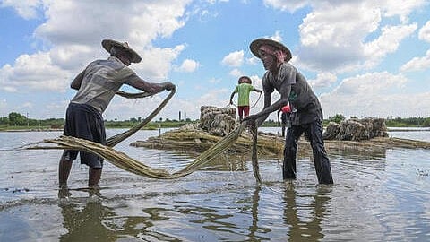 <div class="paragraphs"><p>Farmers in Bengal. (Image for representation) </p></div>