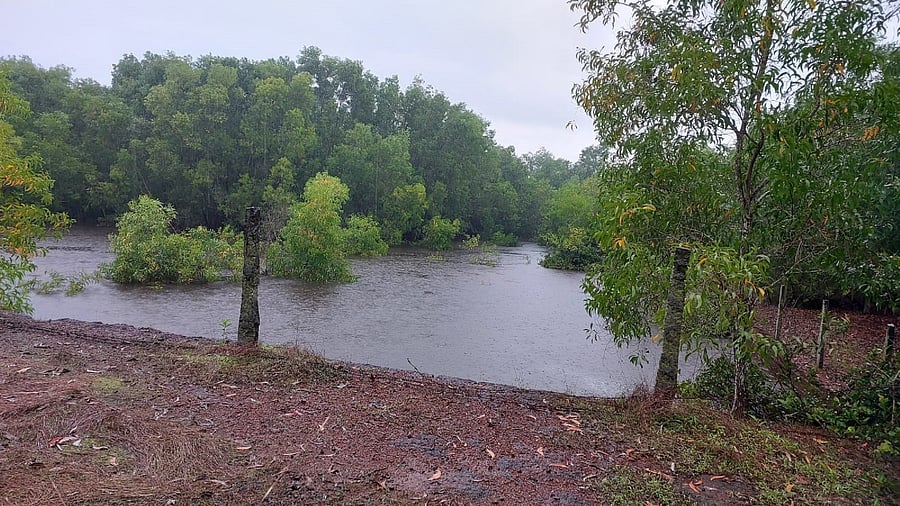 <div class="paragraphs"><p>A few years ago, a 12-year-old boy had drowned while swimming in this abandoned quarry near the old airport at Bajpe near Mangaluru. </p></div>