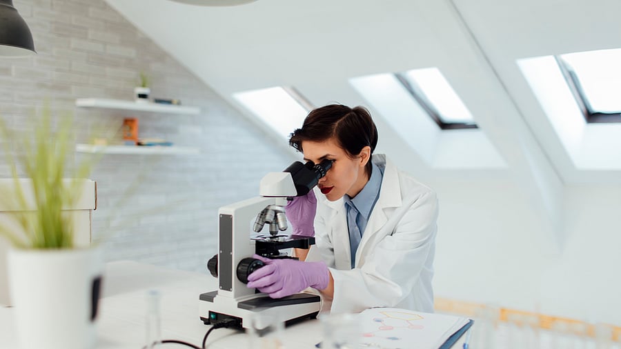 <div class="paragraphs"><p>Representative image</p></div>