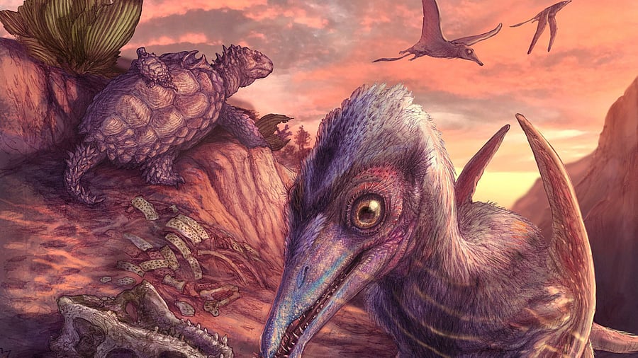 <div class="paragraphs"><p>An artist's reconstruction of a landscape dating to 209 million years ago at the site of Petrified Forest National Park in Arizona, based on fossils of plants and animals found preserved in a remote fossil bed,.</p></div>