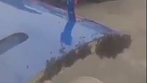 <div class="paragraphs"><p>Screengrab of video showing swarm of honeybees.</p></div>