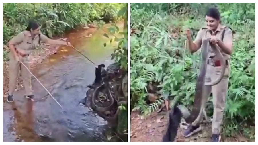 <div class="paragraphs"><p>Video screengrab</p></div>
