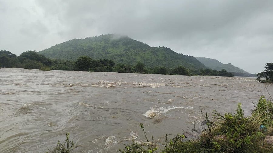 <div class="paragraphs"><p>A view of Cauvery river</p></div>