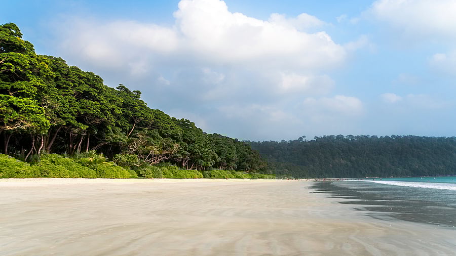 <div class="paragraphs"><p>An image of&nbsp;Great Nicobar Island</p></div>