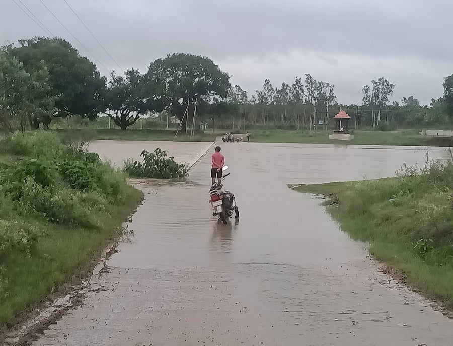 <div class="paragraphs"><p>The bridge over the Varada River between Lakampur and Balambid villages in Hanagal taluk of Haveri district has submerged due to the rising water levels. </p></div>
