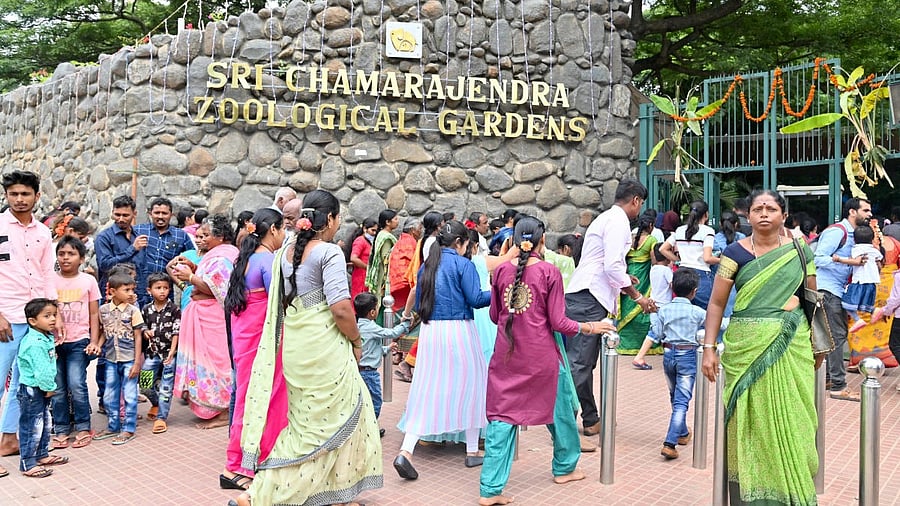 <div class="paragraphs"><p>People visiting Mysuru Zoo</p></div>
