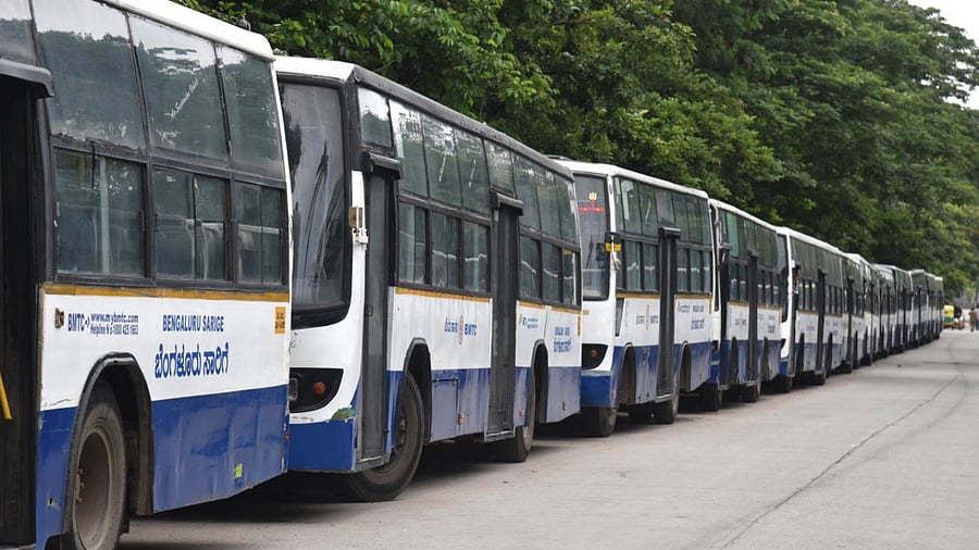 <div class="paragraphs"><p>BMTC buses. </p></div>