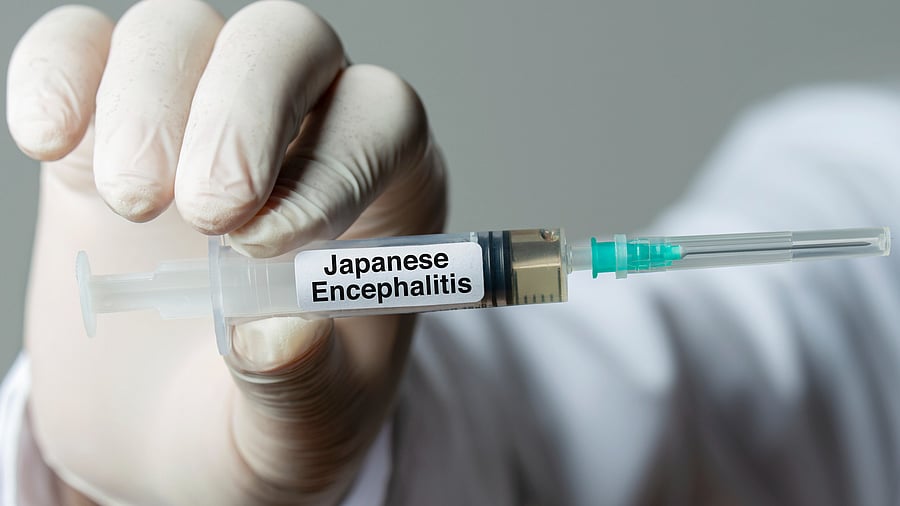 <div class="paragraphs"><p>The disease can cause brain inflammation and lead to serious complications or death.</p></div>