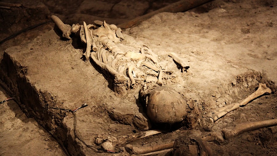<div class="paragraphs"><p>Image showing human remains. For representational purposes.</p></div>