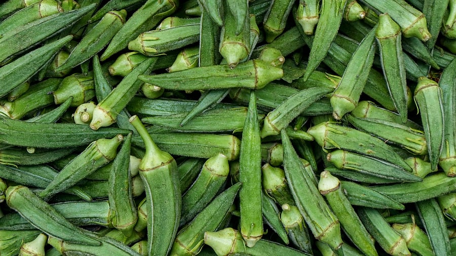 <div class="paragraphs"><p> A vegetable vendor sorts okra </p></div>
