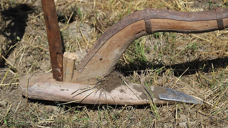 <div class="paragraphs"><p>Representative image</p></div>