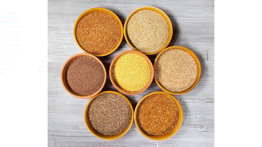 <div class="paragraphs"><p>Representative image of millets.</p></div>