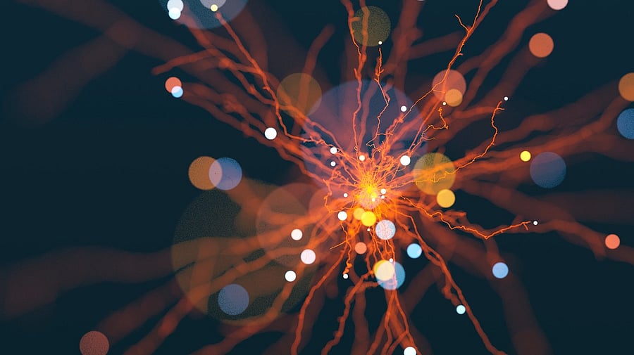 <div class="paragraphs"><p>Representative image&nbsp;</p></div>