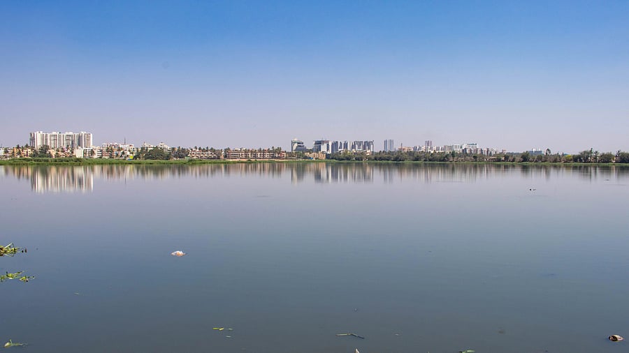 <div class="paragraphs"><p>The Bangalore Development Authority (BDA) has urged the BBMP to take over the upkeep of Varthur Lake. </p></div>